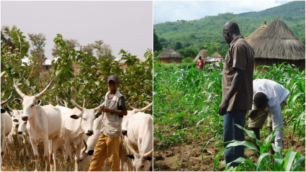 We now live in fear in our town,villages – Yewa elders react as Ogun farmers and herders renew clash